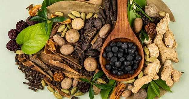 Nutrition to Increase Digestion Power Naturally